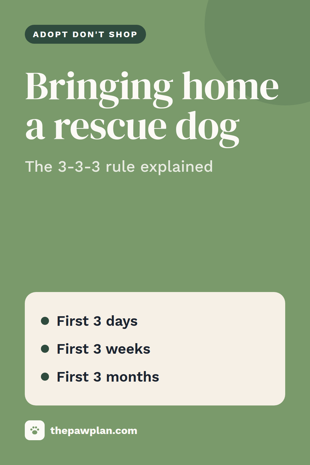 Bringing home a rescue dog: what to expect